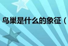 鳥(niǎo)巢是什么的象征（鳥(niǎo)巢的形狀意義是什么）