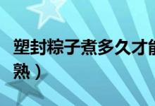 塑封粽子煮多久才能熟（塑封粽子煮多久才會熟）