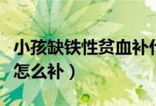 小孩缺鐵性貧血補(bǔ)什么鐵劑（小孩缺鐵性貧血怎么補(bǔ)）