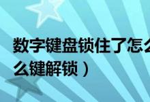 數(shù)字鍵盤鎖住了怎么解鎖（數(shù)字鍵盤鎖了按什么鍵解鎖）