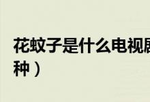 花蚊子是什么電視劇的人物（花蚊子是什么品種）