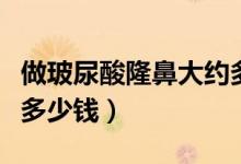 做玻尿酸隆鼻大約多少錢一支（做玻尿酸隆鼻多少錢）