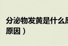 分泌物發(fā)黃是什么原因引起的（白帶發(fā)黃什么原因）