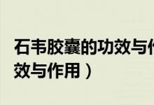石韋膠囊的功效與作用及禁忌（石韋膠囊的功效與作用）