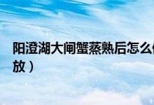 陽澄湖大閘蟹蒸熟后怎么保存（陽澄湖大閘蟹蒸熟后怎么存放）