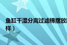 魚缸干濕分離過濾棉擺放順序（魚缸過濾棉放幾層順序是怎樣）