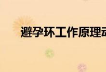 避孕環(huán)工作原理動畫（避孕環(huán)是什么）