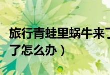 旅行青蛙里蝸牛來了怎么辦（旅行青蛙蝸牛來了怎么辦）