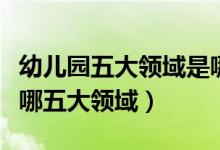 幼兒園五大領(lǐng)域是哪些（幼兒園的五大領(lǐng)域是哪五大領(lǐng)域）