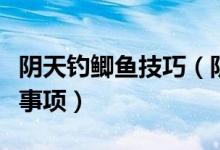 陰天釣鯽魚技巧（陰天釣鯽魚的小技巧和注意事項(xiàng)）