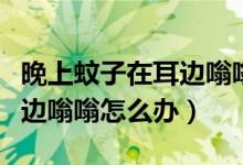 晚上蚊子在耳邊嗡嗡響怎么辦（晚上蚊子在耳邊嗡嗡怎么辦）