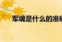 軍魂是什么的準(zhǔn)確答案（軍魂是什么）