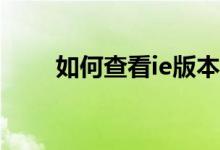 如何查看ie版本（查看版本的方法）