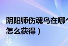 陰陽師傷魂鳥在哪個副本獲?。庩枎焸犋B怎么獲得）