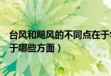 臺風和颶風的不同點在于學習強國(臺風和颶風的不同點在于哪些方面)