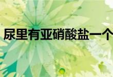 尿里有亞硝酸鹽一個(gè)加號(hào)（尿里有亞硝酸鹽）