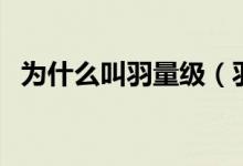 為什么叫羽量級(jí)（羽量級(jí)社交是什么意思）
