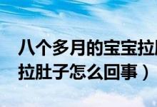 八個(gè)多月的寶寶拉肚子怎么辦?（八個(gè)月寶寶拉肚子怎么回事）