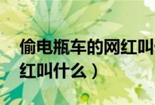 偷電瓶車的網(wǎng)紅叫什么 視頻（偷電瓶車的網(wǎng)紅叫什么）