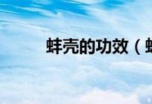蚌殼的功效（蚌殼的功效與作用）