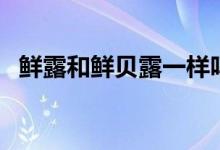 鮮露和鮮貝露一樣嗎（鮮貝露是怎么用的）