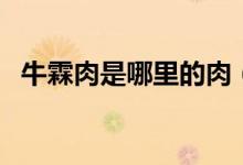 牛霖肉是哪里的肉（凍牛霖是什么部位肉）