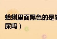 蛤蜊里面黑色的是糞便嗎（蛤蜊里面黑色的是屎嗎）