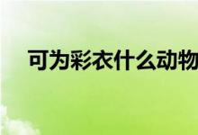 可為彩衣什么動物（彩衣娛親什么動物）