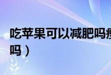吃蘋果可以減肥嗎瘦肚子嗎（吃蘋果可以減肥嗎）