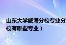 山東大學威海分校專業(yè)分數(shù)線2020（2022山東大學威海分校有哪些專業(yè)）