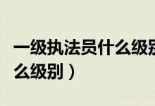 一級(jí)執(zhí)法員什么級(jí)別值得考嗎（一級(jí)執(zhí)法員什么級(jí)別）