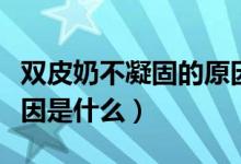 雙皮奶不凝固的原因補(bǔ)救（雙皮奶不凝固的原因是什么）