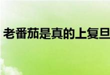 老番茄是真的上復旦了么（老番茄是什么梗）