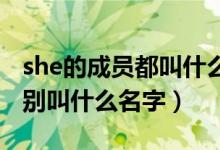 she的成員都叫什么名字（SHE里面的成員分別叫什么名字）