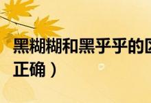 黑糊糊和黑乎乎的區(qū)別（黑糊糊和黑乎乎哪個(gè)正確）