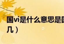 國(guó)vi是什么意思是國(guó)幾（國(guó)vi是什么意思是國(guó)幾）