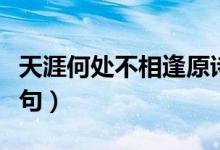 天涯何處不相逢原詩句（天涯何處不相逢下一句）