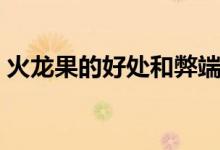 火龍果的好處和弊端（火龍果的好處有哪些）