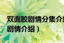 雙面膠劇情分集介紹（電視劇雙面膠1-5集的劇情介紹）