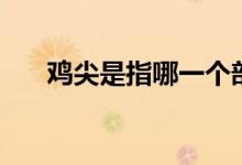 雞尖是指哪一個(gè)部位（雞尖是什么肉）