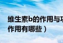 維生素b的作用與功效能生發(fā)嗎（維生素B的作用有哪些）