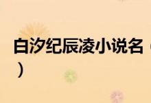 白汐紀(jì)辰凌小說名（白汐紀(jì)辰凌小說名叫什么）