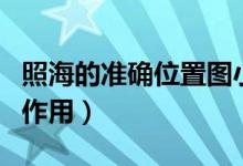 照海的準(zhǔn)確位置圖小兒（照海的準(zhǔn)確位置圖和作用）