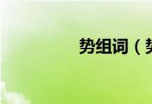 勢組詞（勢組詞有哪些）