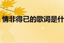 情非得已的歌詞是什么(情非得已歌曲簡(jiǎn)介)