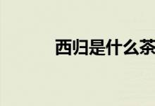 西歸是什么茶（西歸是什么茶）