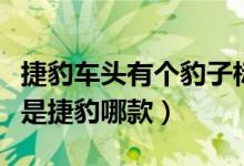 捷豹車頭有個豹子標的什么型號（車頭有豹子是捷豹哪款）