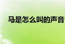 馬是怎么叫的聲音（馬是怎么叫的 叫聲）
