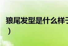 狼尾發(fā)型是什么樣子的（狼尾發(fā)型是什么發(fā)型）