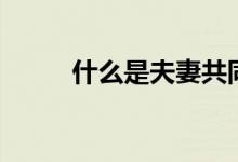 什么是夫妻共同財(cái)產(chǎn)（什么鵲蛋）